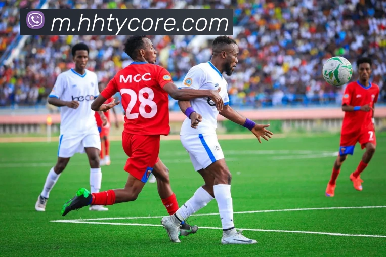 火狐体育平台生态图